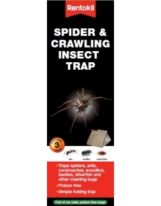 Rentokil Spider & Crawling Insect Trap 3 Pack