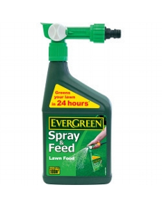Miracle-Gro Evergreen Fast Green 1L Spray & Feed
