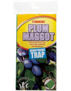 Vitax Plum Maggot Trap 