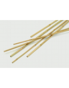 Apollo Bamboo Canes Pack 10 1.5m