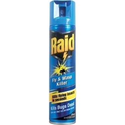 Raid