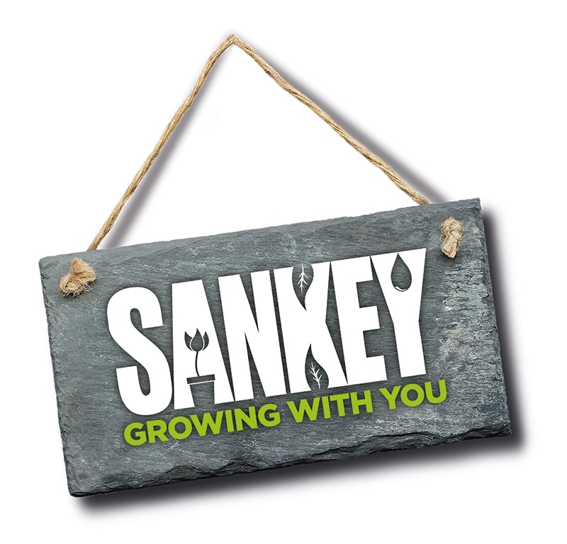 Sankey