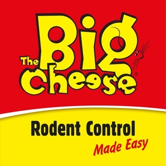 The Big Cheese