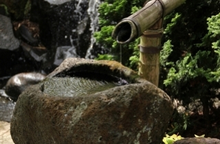 Water Features