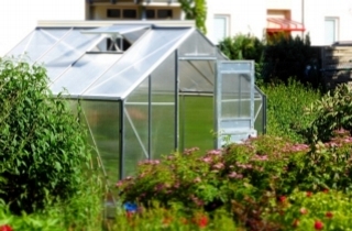 Greenhouses & Growing Tunnels