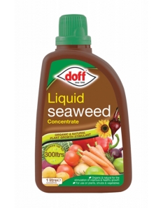 Doff Liquid Seaweed Plant Feed 1L