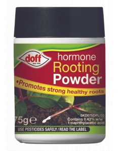 Doff Natural Rooting Powder 75g