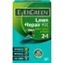 EverGreen Lawn Repair Kit 1kg Carton