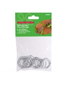 Ambassador Galvanised Plant Rings 