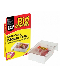 The Big Cheese Multi-Catch Mouse Trap 