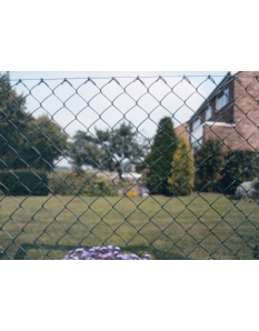 Apollo Chain Link Fence PVC 10m x 1200mm