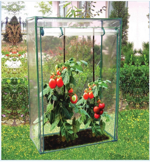 Apollo Tomato Growhouse 100 x 50 x 150cm