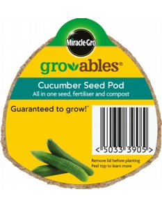 Miracle-Gro Gro-ables Cucumber