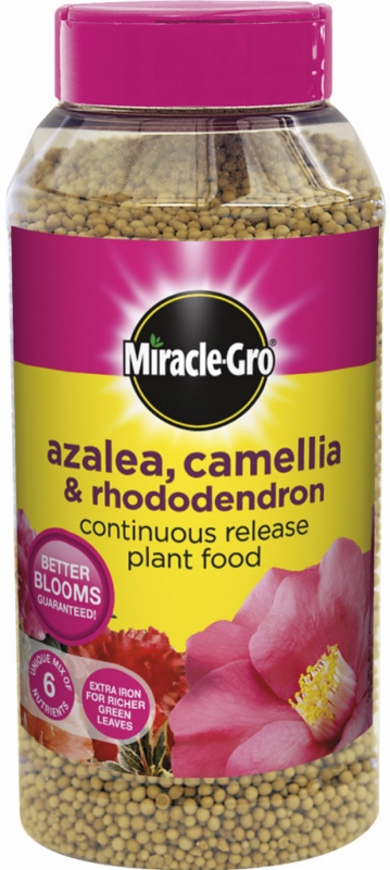 Miracle-Gro Slow Release Azalea Camellia & Rhododendron Plant Food 1Kg Jar 