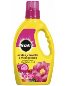 Miracle-Gro Azalea, Camellia & Rhododendron Liquid Plant Food 1L