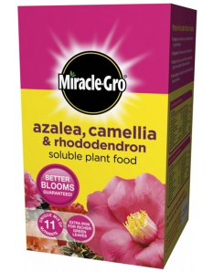 Miracle-Gro Azalea, Camellia & Rhododendron Soluble Plant Food 1kg