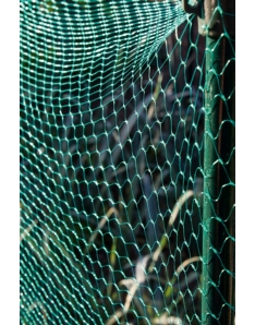 Ambassador Garden Net Green 15mm x 6 x 2m