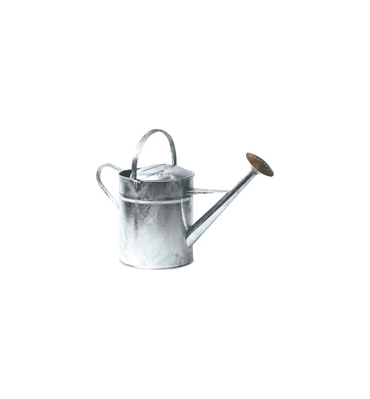 Ambassador Galvanised Watering Can 2 Gallon