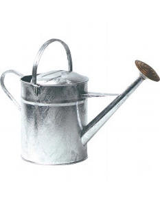 Ambassador Galvanised Watering Can 2 Gallon
