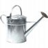 Ambassador Galvanised Watering Can 2 Gallon