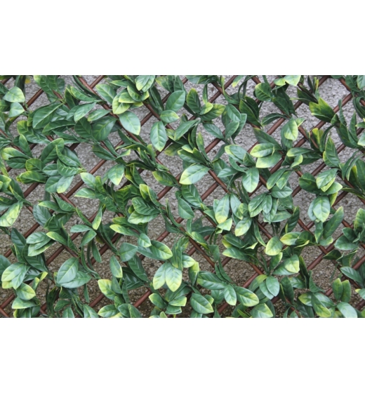 Wonderwal Trellis 100 x 200cm Laurel Leaf, 355377, Wonderwal , Fixed Trellis Balsall Gardens