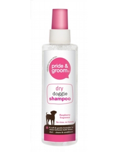 Pride & Groom Dry Shampoo Spray 200ml