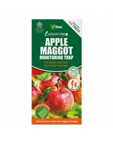 Vitax Apple Maggot Trap 