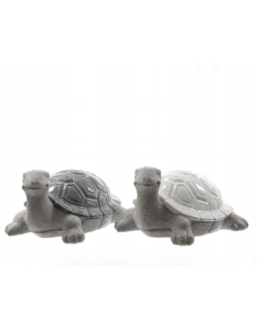 Decoris Poly Turtle 2 Assorted Designs