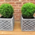 2 Buxus 35cm balls with planters 