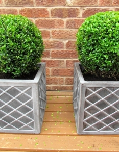 1 Buxus 35cm ball with planter