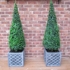 2 large Buxus 120cm cones with planters