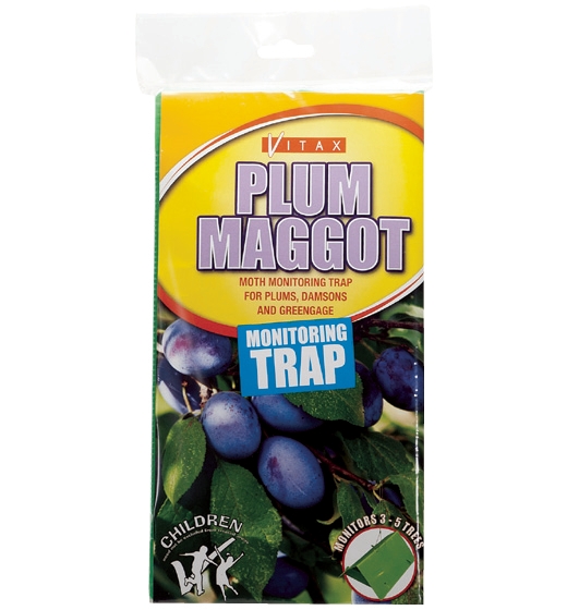 Vitax Plum Maggot Trap 
