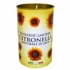 Price's Candles Citronella Fragrant Lantern 
