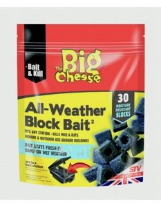 The Big Cheese All Weather Block Bait 30x10g