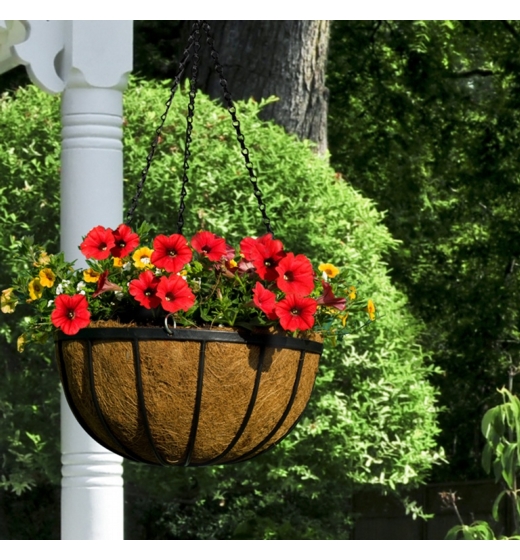 Ambassador Flat Bar Hanging Basket 12