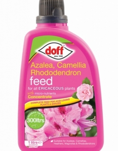 Doff Ericaceous Plant Feed - Concentrate 1L