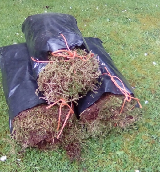 Sphagnum Moss large bag