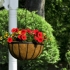 Ambassador Flat Bar Hanging Basket 12