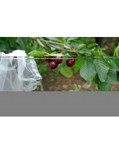 Agralan Fruit Tree Sleeves Pack 5