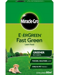 Miracle-Gro Evergreen Fast Green 80m2 Box