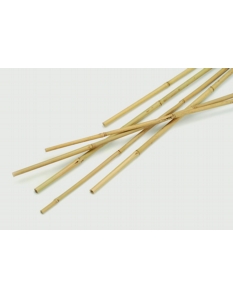 Apollo Bamboo Canes Pack 10 1.8m