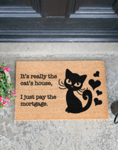 It's really the Cats House, I just pay the Mortgage Doormat
