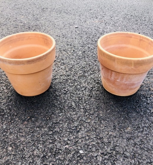 Pair of Terracotta Plant Pots