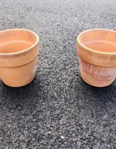 Pair of Terracotta Plant Pots