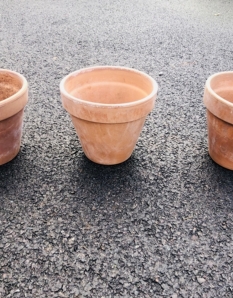 Terracotta Plant Pots x 3