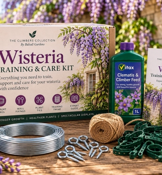 Wisteria Training and Care Kit