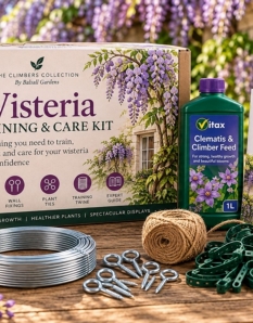 Wisteria Training and Care Kit