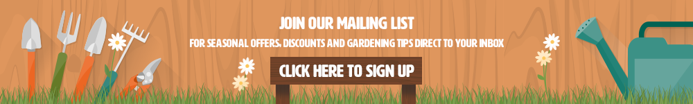 Sign up to our mailing list